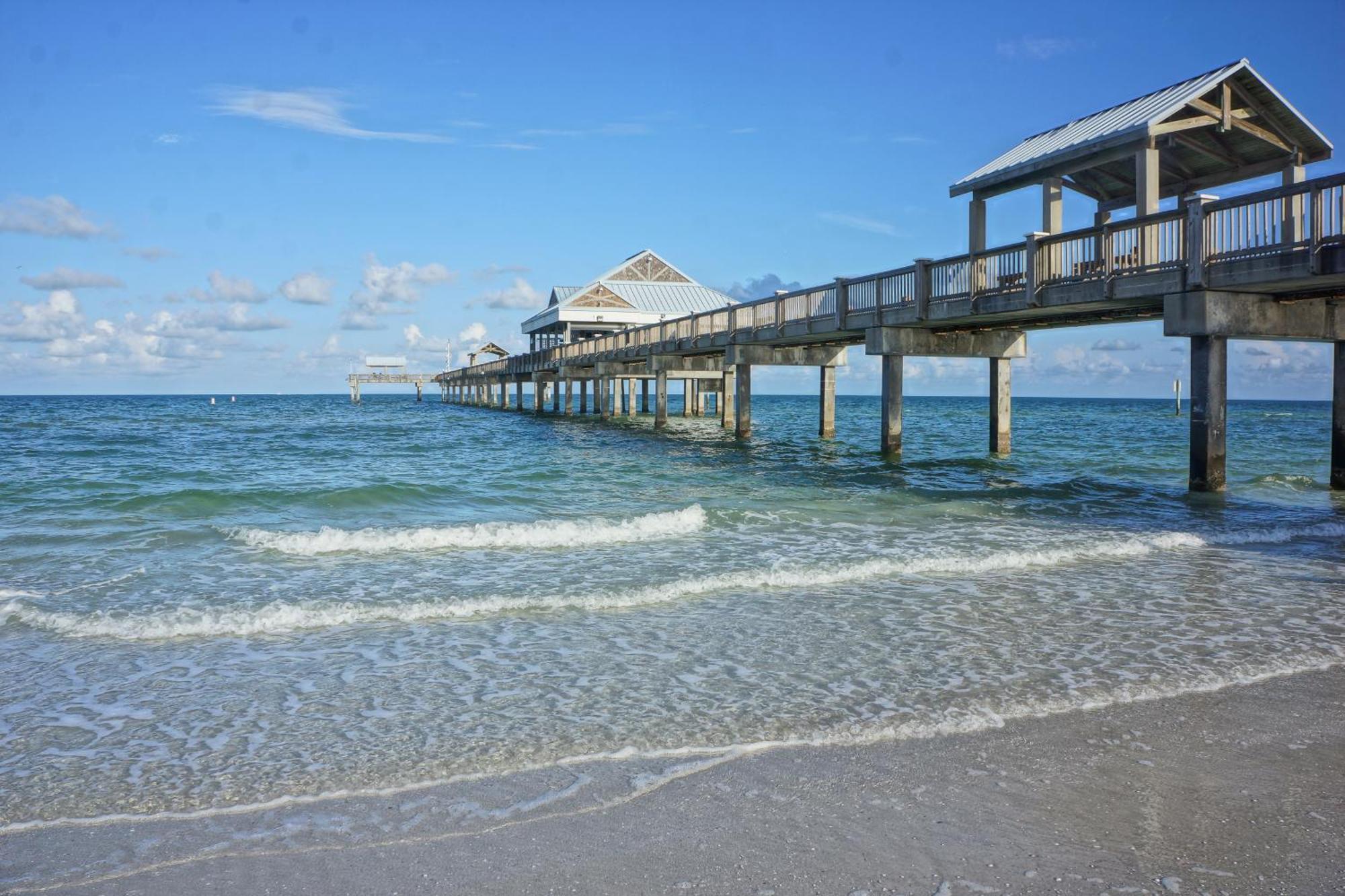 Tropical Paradise Clearwater Beach Quarto foto